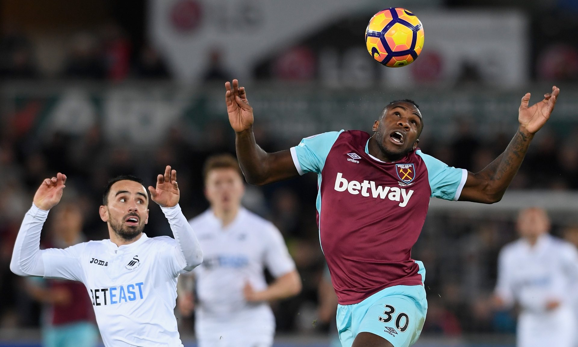 的年轻足球 的年轻足球