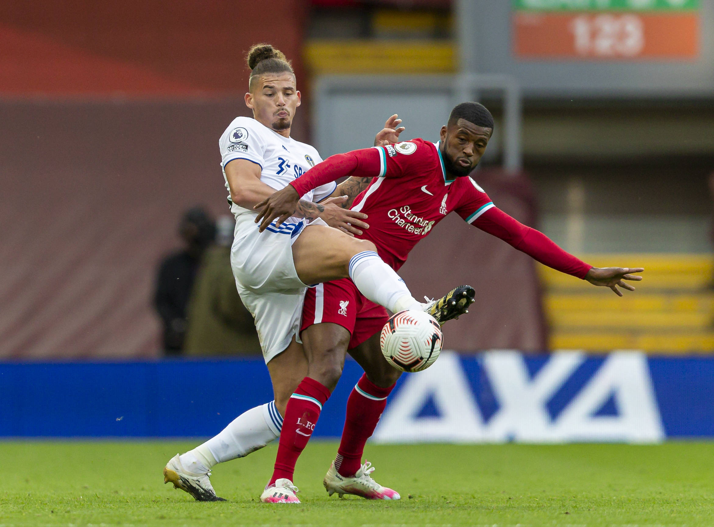 能会受到多 能会受到多