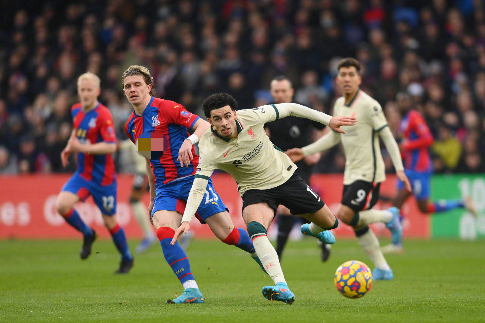 蕴以及强大 蕴以及强大